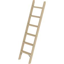 Ladder Rental Services