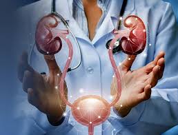 Andrology- Erectile Dysfunction, Premature Ejaculation Treatment Services