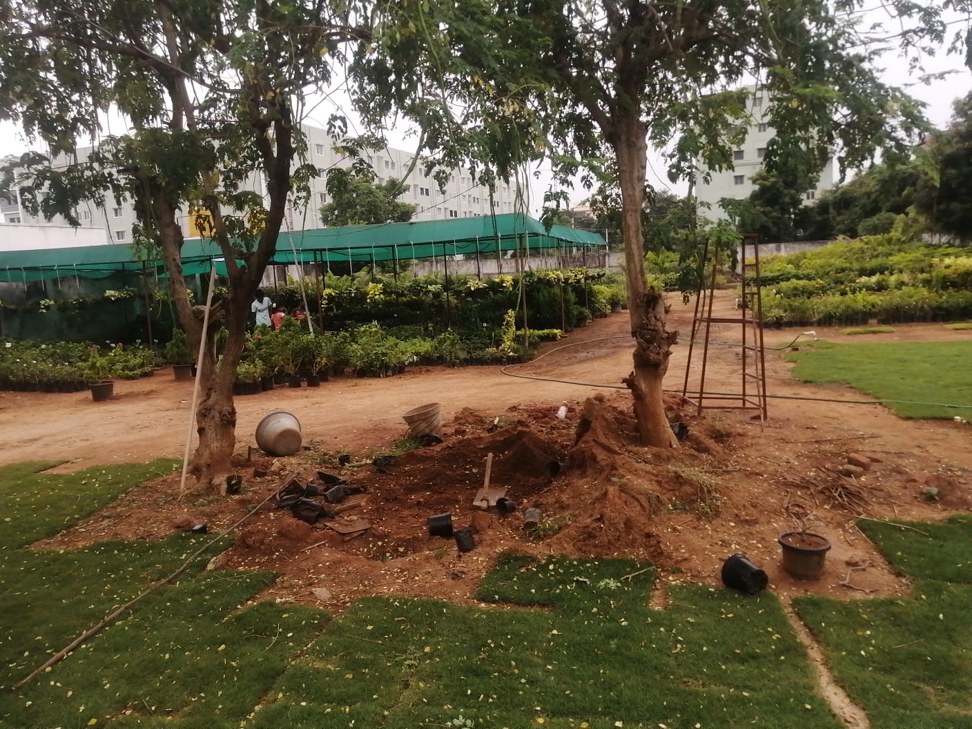 Sri Vinayaka Nursery